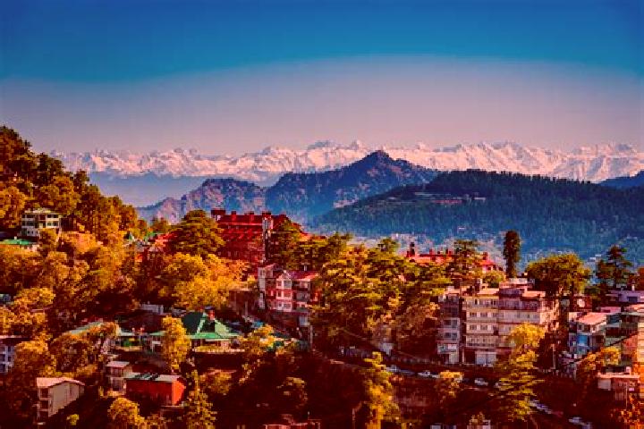 Harper, 33 — Escort in Pahasu, India