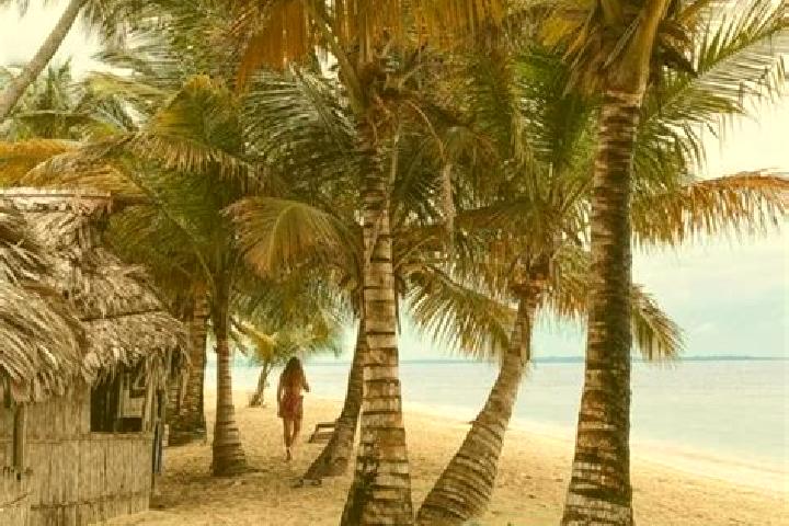 Harper, 33 — Escort in Playon Chico, Panama