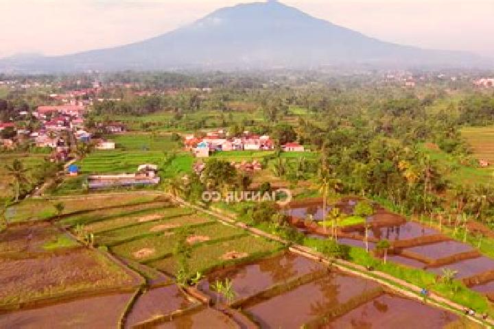 Harper, 33 — Escort in Sindangasih, Indonesia