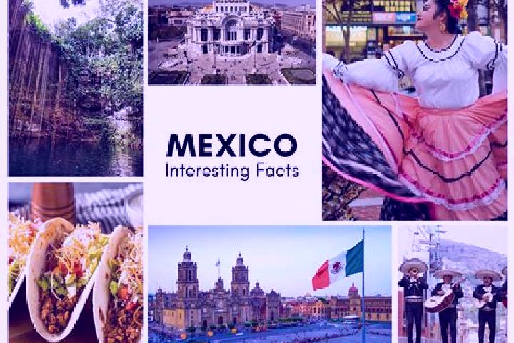 Harper, 33 — Escort in Tepetlacolco, Mexico