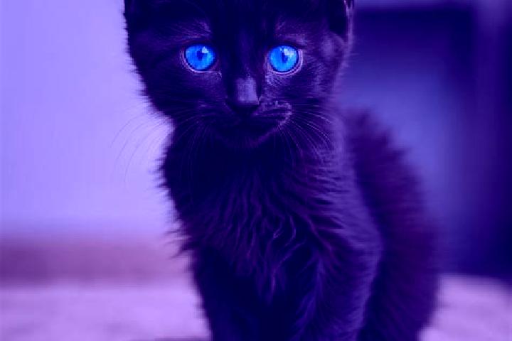 Harper, 34, a black blue-eyed caribbean companion based in Ukrayinsk. Offering GFE, Roleplay. Available for incall and outcall, day and evening dates.