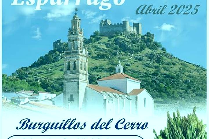 Harper, 34 — Escort in Burguillos, Spain