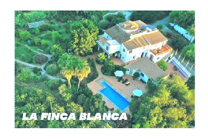 Harper, 34 — Escort in Finca Blanco, Panama