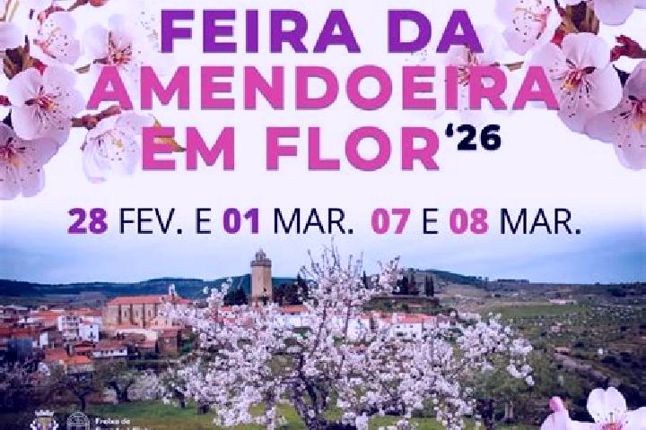 Harper, 34 — Escort in Freixo de Numao, Portugal