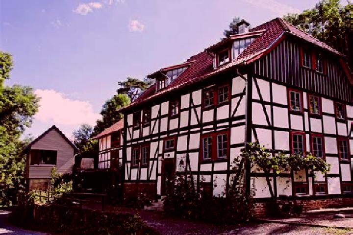 Harper, 34 — Escort in Kirchheilingen, Germany