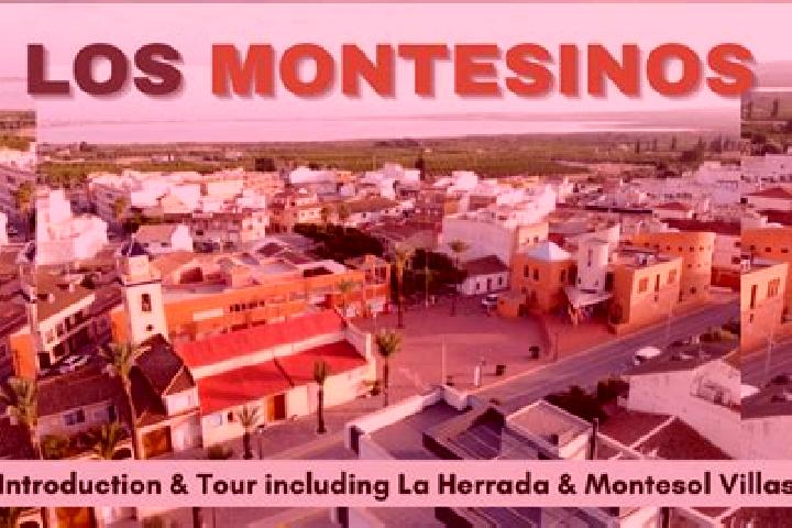 Harper, 34 — Escort in Los Montesinos, Spain
