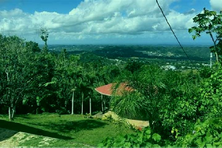 Harper, 34 — Escort in Morovis, Puerto Rico