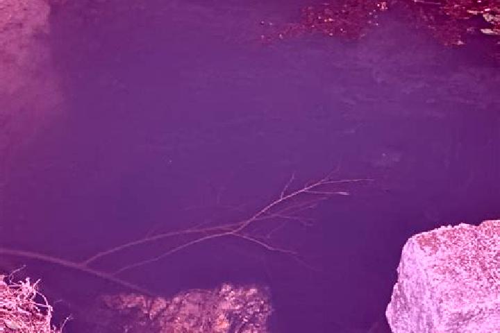 Harper, 34 — Escort in Ojos de Agua, Mexico