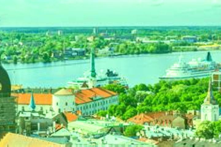 Harper, 34 — Escort in Rezekne, Latvia
