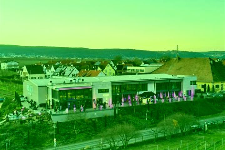 Harper, 34 — Escort in Weisenheim am Berg, Germany