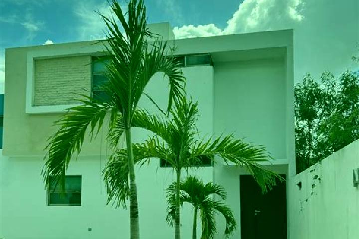 Harper, 35 — Escort in Cholul, Mexico