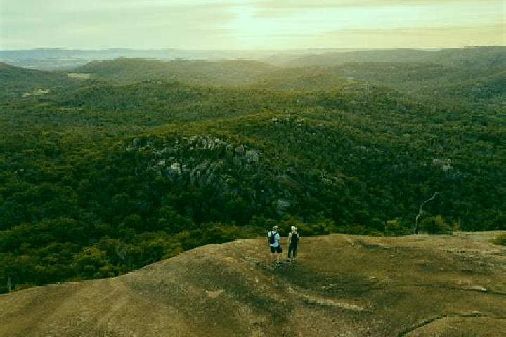 Harper, 35 — Escort in Crows Nest, Australia