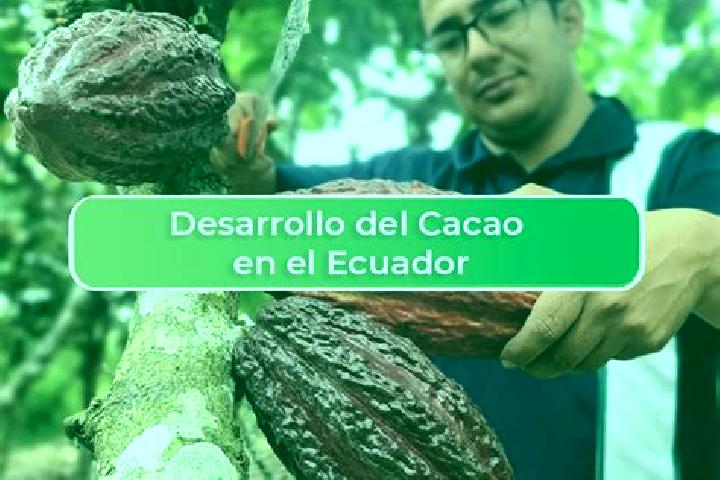 Harper, 35 — Escort in El Cacao, Panama