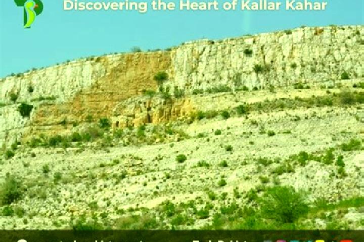 Harper, 35 — Escort in Kallar Kahar, Pakistan