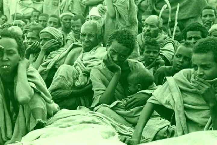 Harper, 35 — Escort in Korem, Ethiopia