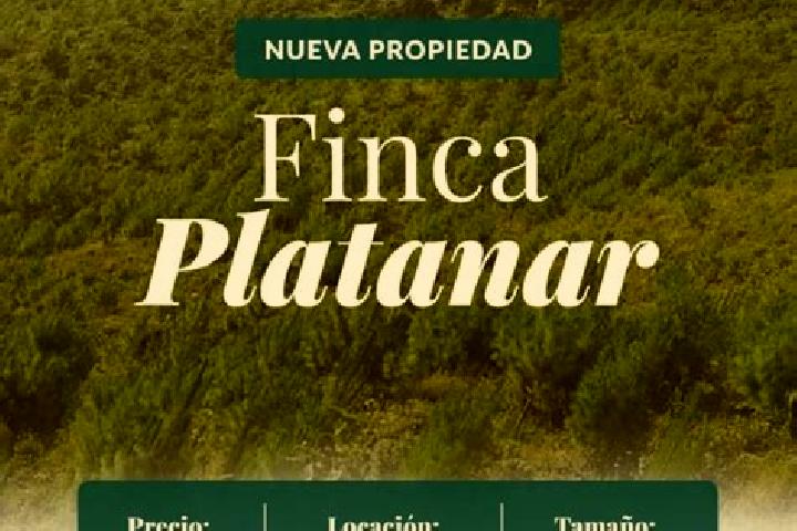 Harper, 35 — Escort in Platanar, Mexico