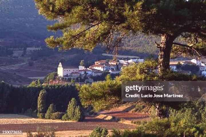 Harper, 35 — Escort in Salinas del Manzano, Spain