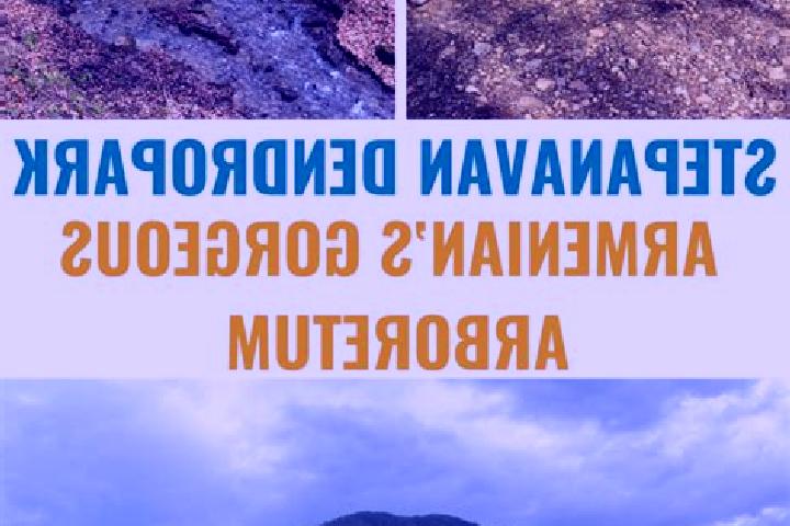 Harper, 35 — Escort in Stepanavan, Armenia