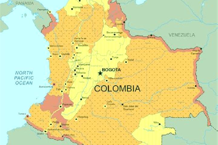 Harper, 35 — Escort in Tona, Colombia