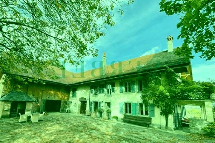 Harper, 36 — Escort in Chalais, France