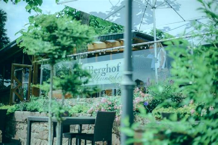 Harper, 36 — Escort in Egloffstein, Germany