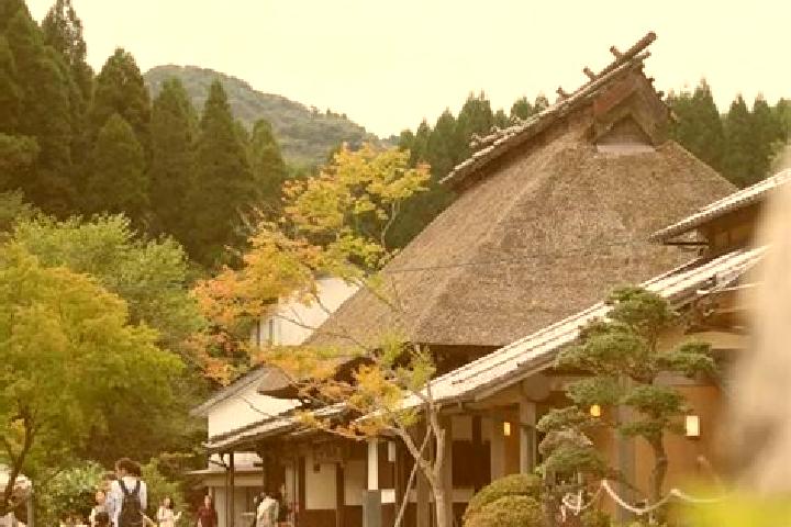 Harper, 36 — Escort in Koishiwara, Japan