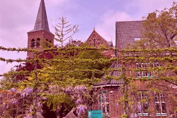 Harper, 36 — Escort in Kruisland, Netherlands
