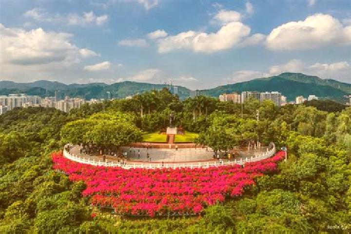Harper, 36 — Escort in Lianhua, China