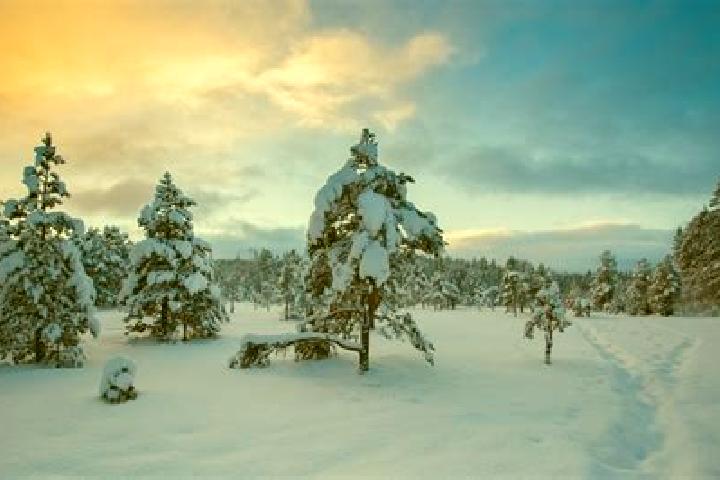 Harper, 36 — Escort in Myllymaeki, Finland