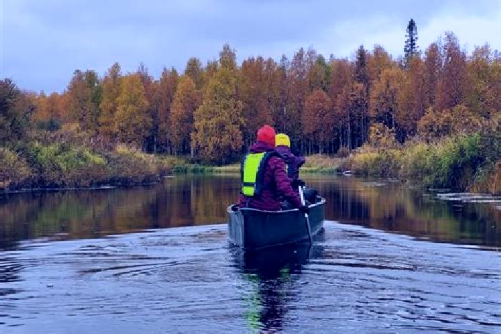 Harper, 36 — Escort in Pyhaejaervi, Finland