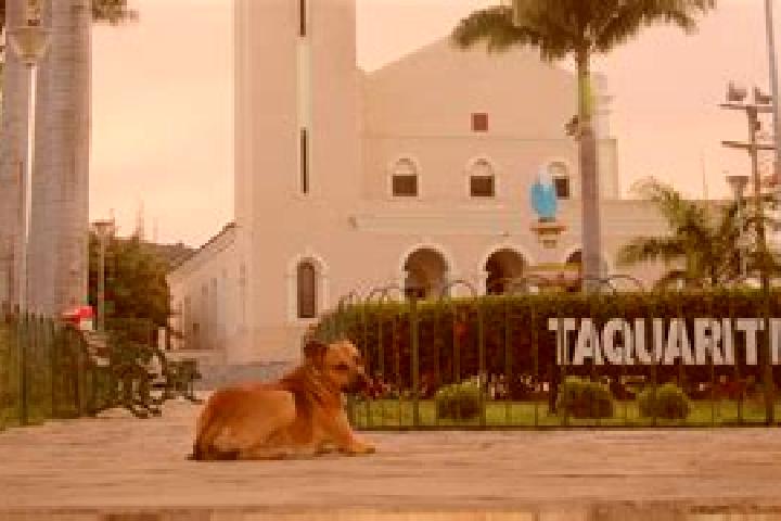 Harper, 36 — Escort in Taquaritinga do Norte, Brazil