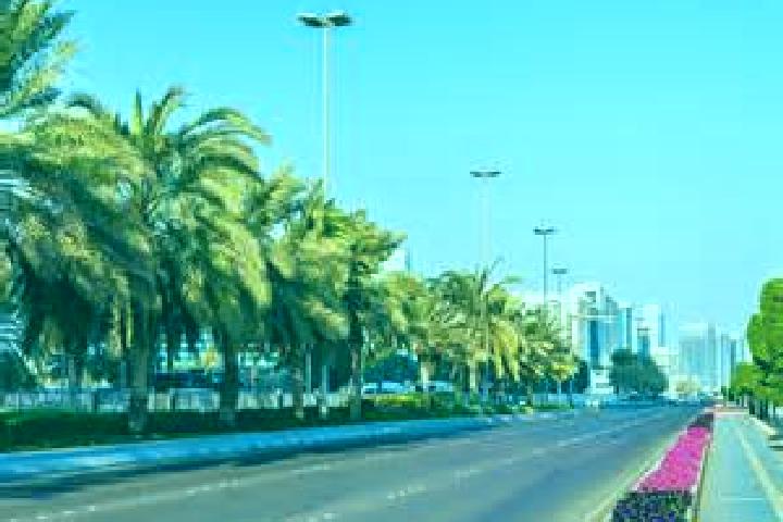 Harper, 37 — Escort in Abu Road, India