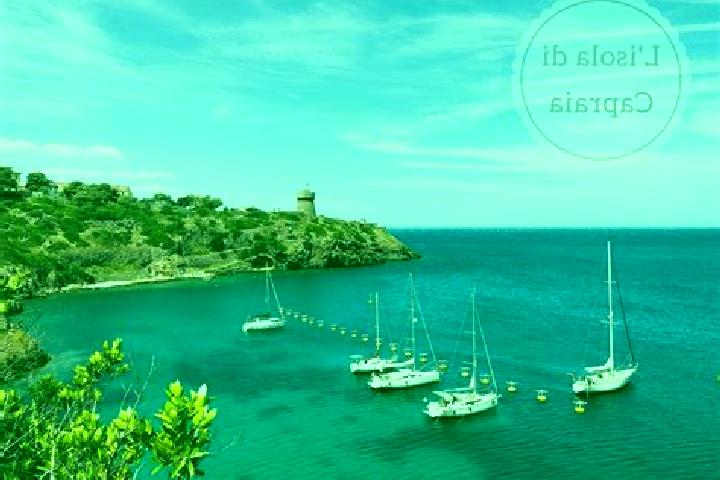 Harper, 37 — Escort in Capraia Isola, Italy