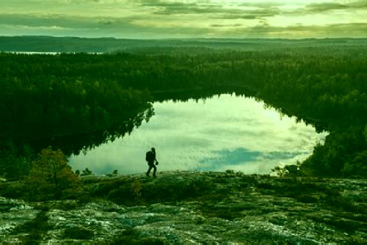 Harper, 37 — Escort in Dals Langed, Sweden