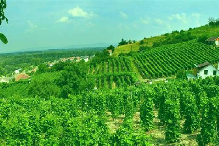 Harper, 37 — Escort in Fuzesabony, Hungary
