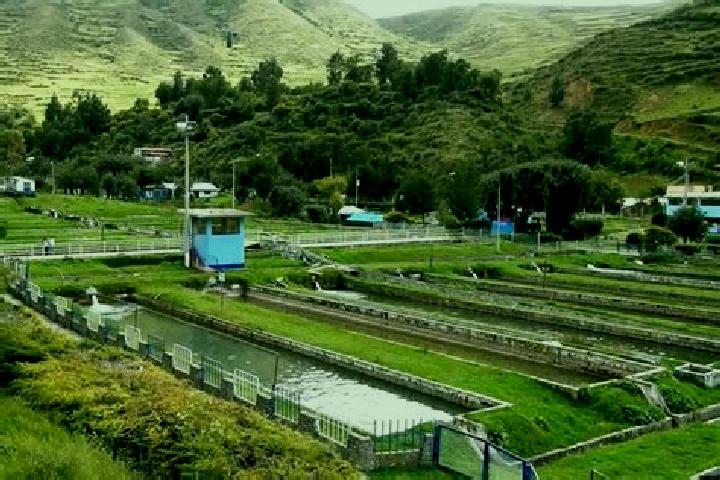 Harper, 37 — Escort in Ingenio, Peru
