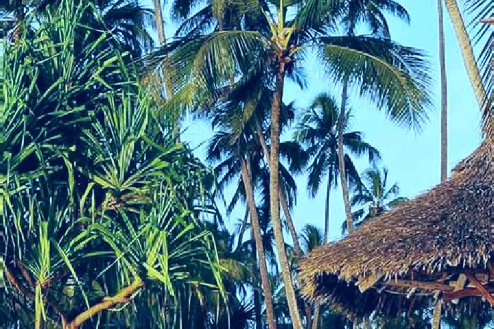 Harper, 37 — Escort in Malya, Tanzania