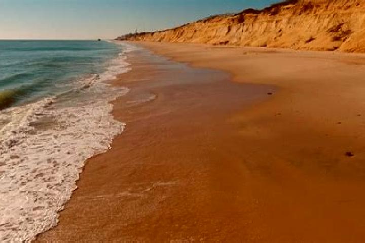 Harper, 37 — Escort in Playa Larga, Mexico