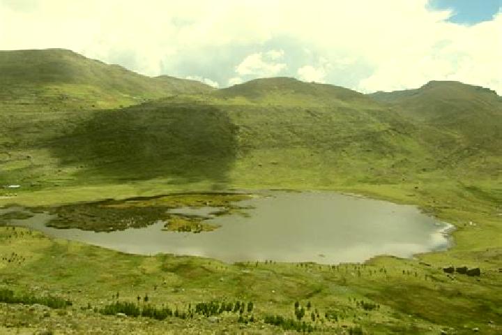 Harper, 37 — Escort in Pomacocha, Peru