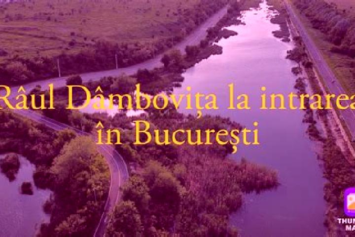 Harper, 37 — Escort in Rau Alb de Jos, Romania