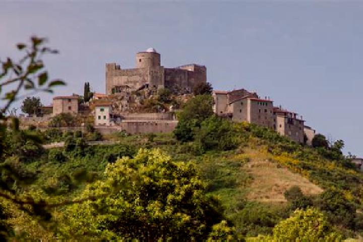 Harper, 37 — Escort in Rocca di Cave, Italy