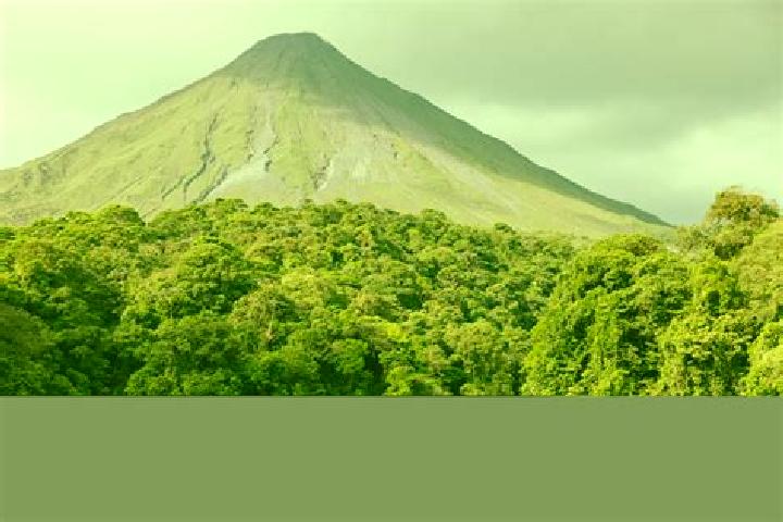 Harper, 37 — Escort in San Miguel del Arenal, Mexico
