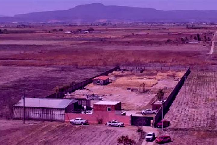 Harper, 37 — Escort in Santa Gertrudis Salitrillo, Mexico