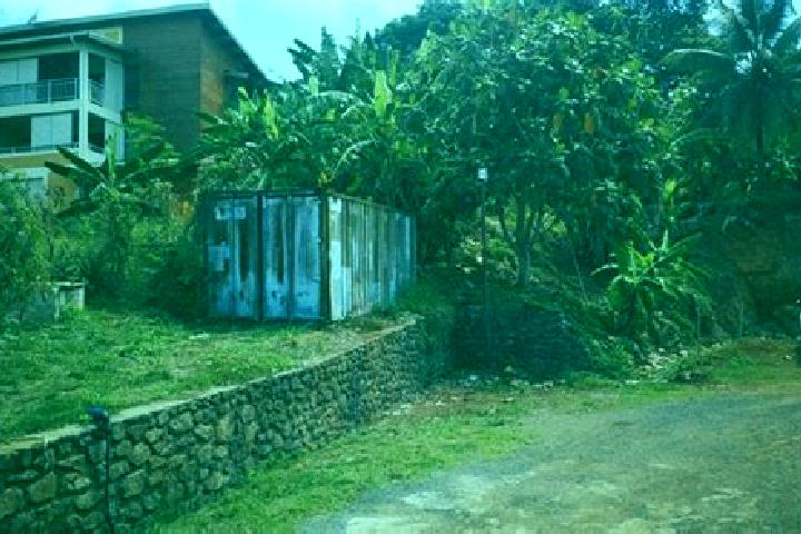 Harper, 37 — Escort in Tsimkoura, Mayotte