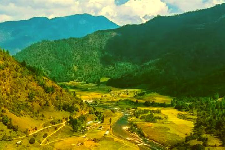 Harper, 37 — Escort in Ziro, India
