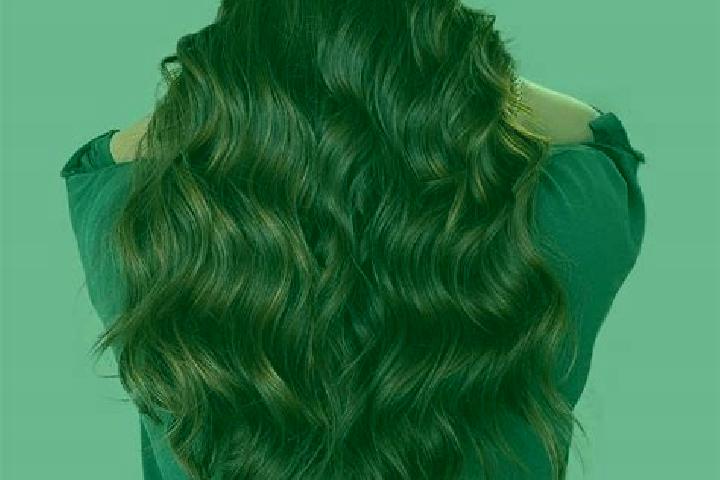 Harper, 38, a auburn grey-eyed latina companion based in Copani. Offering OWO, CIM, Overnight. Available for incall and outcall, day and evening dates.
