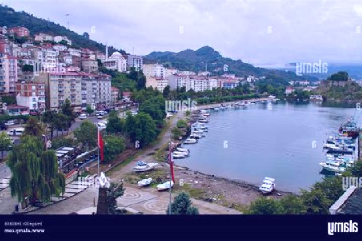 Harper, 38 — Escort in Giresun, Turkey