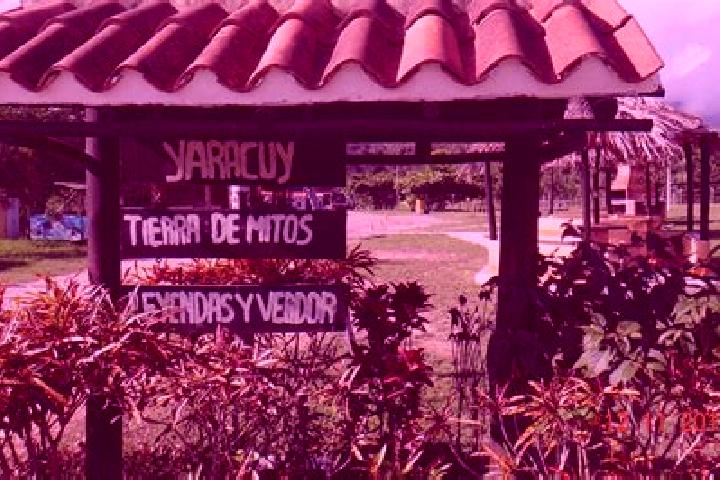Harper, 38 — Escort in Nirgua, Venezuela
