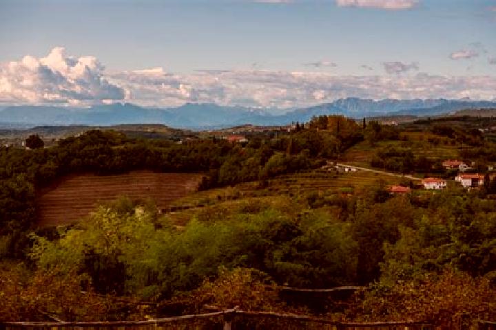 Harper, 38 — Escort in Nove-San Floriano, Italy