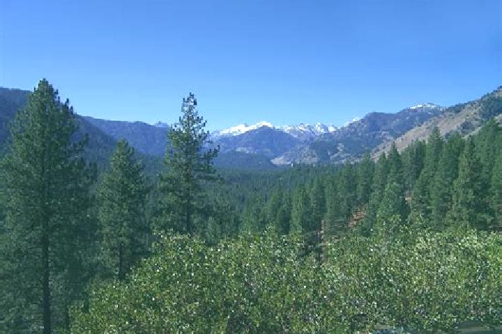 Harper, 38 — Escort in Pine, United States